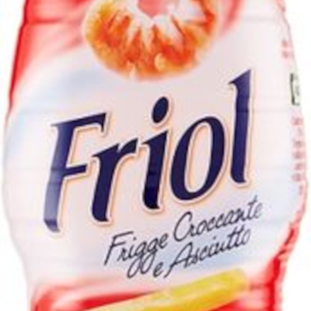 FRIOL Friol Olio semi Pet lt 1